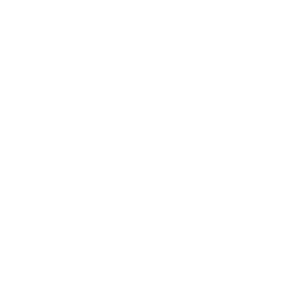 top companies 2024 copy1